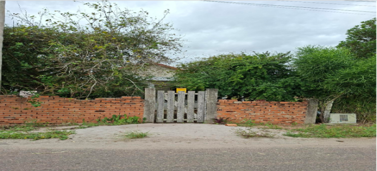 Estrada da correnteza s/n, área de 6.050m², e área de 37.904m², localidade caboio, campos dos goytacazes/rj. - foto 5