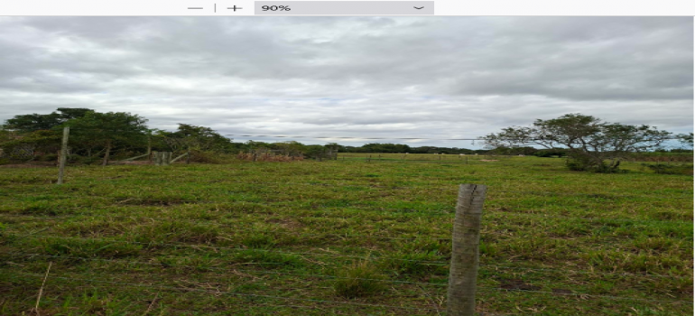 Estrada da correnteza s/n, área de 6.050m², e área de 37.904m², localidade caboio, campos dos goytacazes/rj. - foto 2